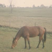 Norma Foley Photo 14