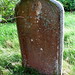 Susan Bartholomew Photo 37