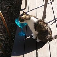 Joyce Ham Photo 8