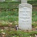 Lon Rowe Photo 3