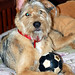 Annie May Photo 30