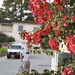 David Wesolowski Photo 28