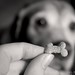 Bonnie Sharp Photo 26