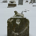 Marsha Snow Photo 13