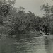 Homer Williams Photo 22