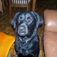Buddy Sharp Photo 7