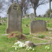 William Spencer Photo 7