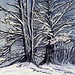 Nancy Snell Photo 13