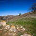 Henry Parks Photo 10