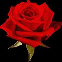 Rosa Nevarez Photo 11