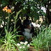 Harvey Flowers Photo 11