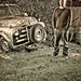 Brent Cole Photo 37