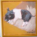 Susan Merrill Photo 15
