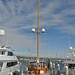 Philip Rhodes Photo 38
