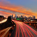 David Hogan Photo 32