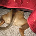 Xiao Quan Photo 11
