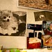 Anita Cheung Photo 10