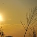 Hong Lai Photo 24