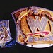 Barrett Belt Photo 5