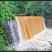 William Vickery Photo 29