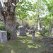 Robert Maine Photo 3