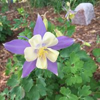 Mary Schroeder Photo 35