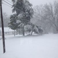 Bobbie Stephens Photo 10