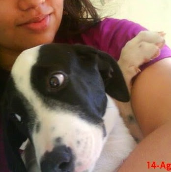 Diana Lucas Photo 12