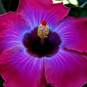 Laurie Palmer Photo 24