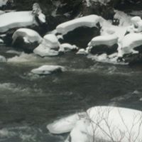 Robin Reaves Photo 7
