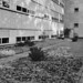 Kenneth Black Photo 18