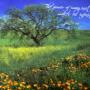Joann Reed Photo 45