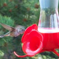 Christine Childers Photo 31