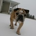 Frank Buford Photo 10