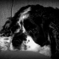 Lisa Paterson Photo 38
