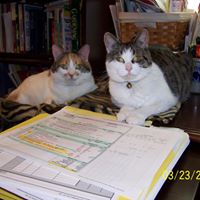 Renee Herman Photo 17