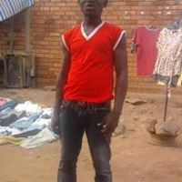 Robert Noah Photo 12