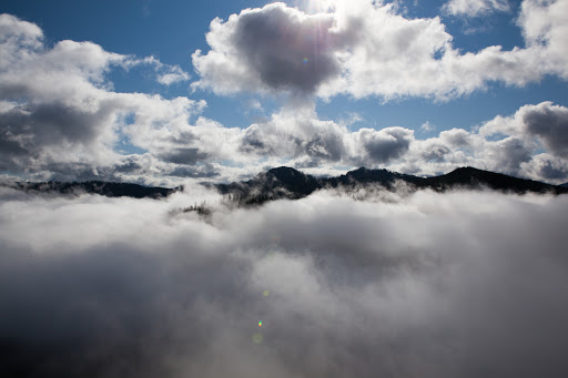 Scott Oliphant Photo 10
