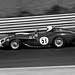 David Cooke Photo 38
