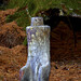 Janet Levering Photo 5