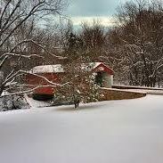 Virginia Roth Photo 30