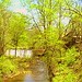 Gladys Mills Photo 24