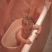 Douglas Bath Photo 9