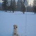 Michele Kirby Photo 19