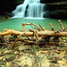 Forrest Mize Photo 6