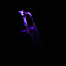 Thomas Lebrun Photo 17