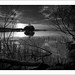 Dawn Durham Photo 12