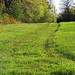 Roger Long Photo 14