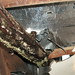 Larry Powers Photo 18