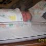 Thomas Devore Photo 27